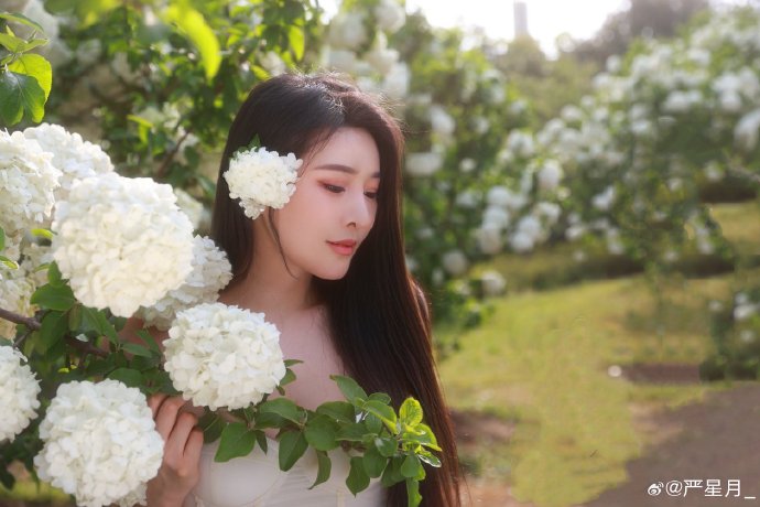 阳光姐妹淘
